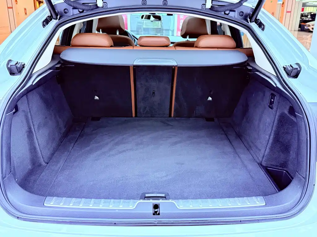 BMW X6 — миниатюра 37