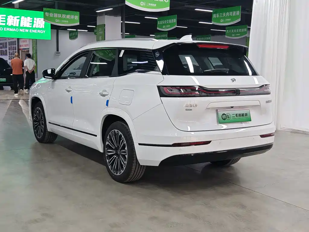 Shanhai Shanhai L9 — миниатюра 4