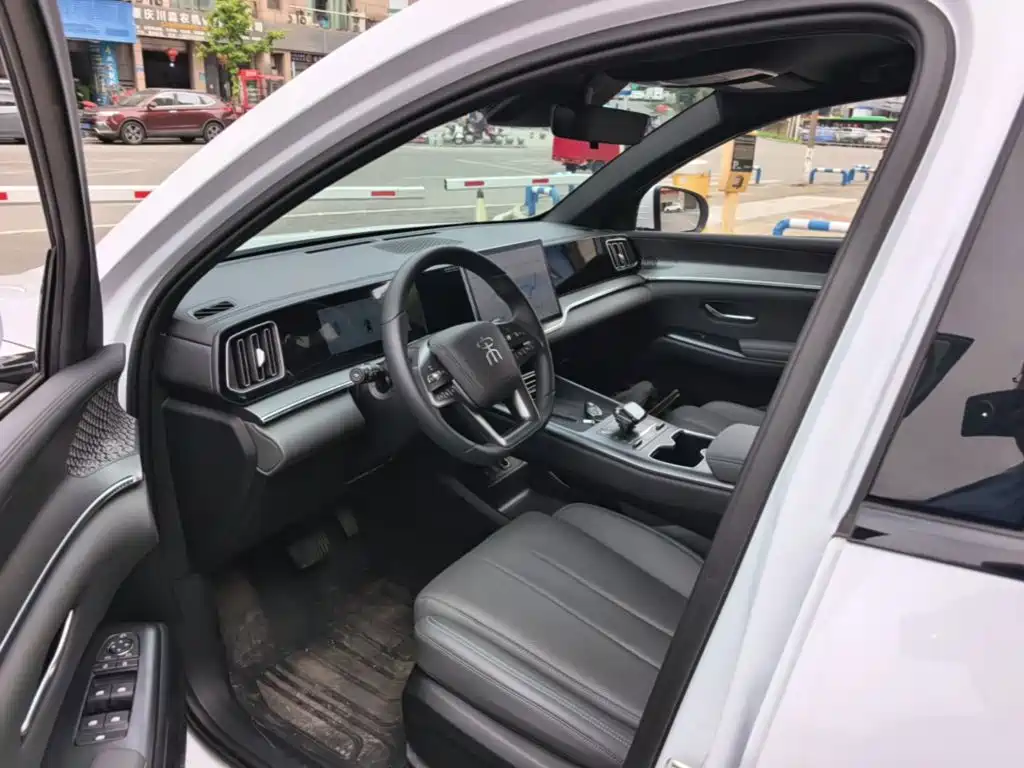 BYD Pro New Energy — миниатюра 16