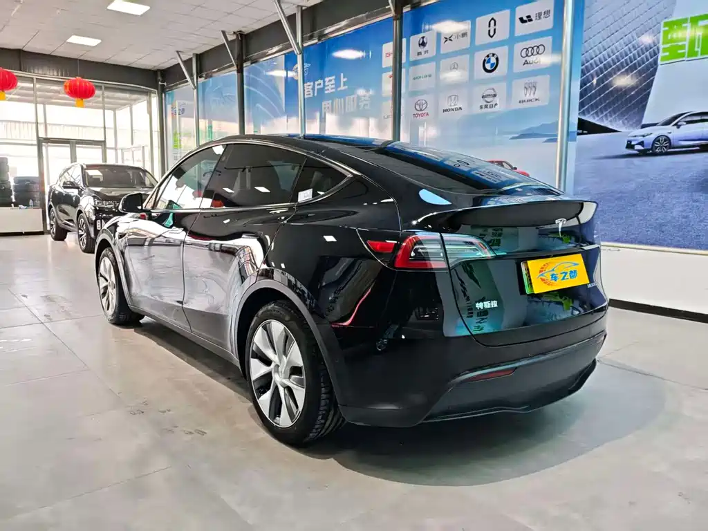 Tesla Model Y — миниатюра 7