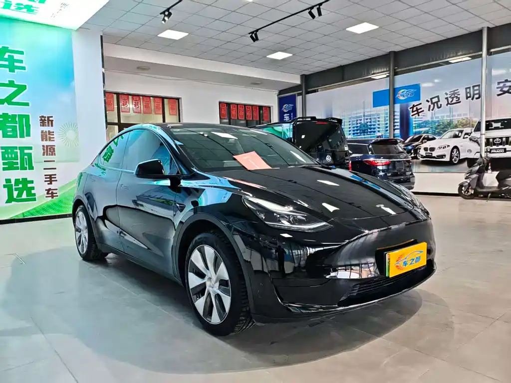 Tesla Model Y — миниатюра 3