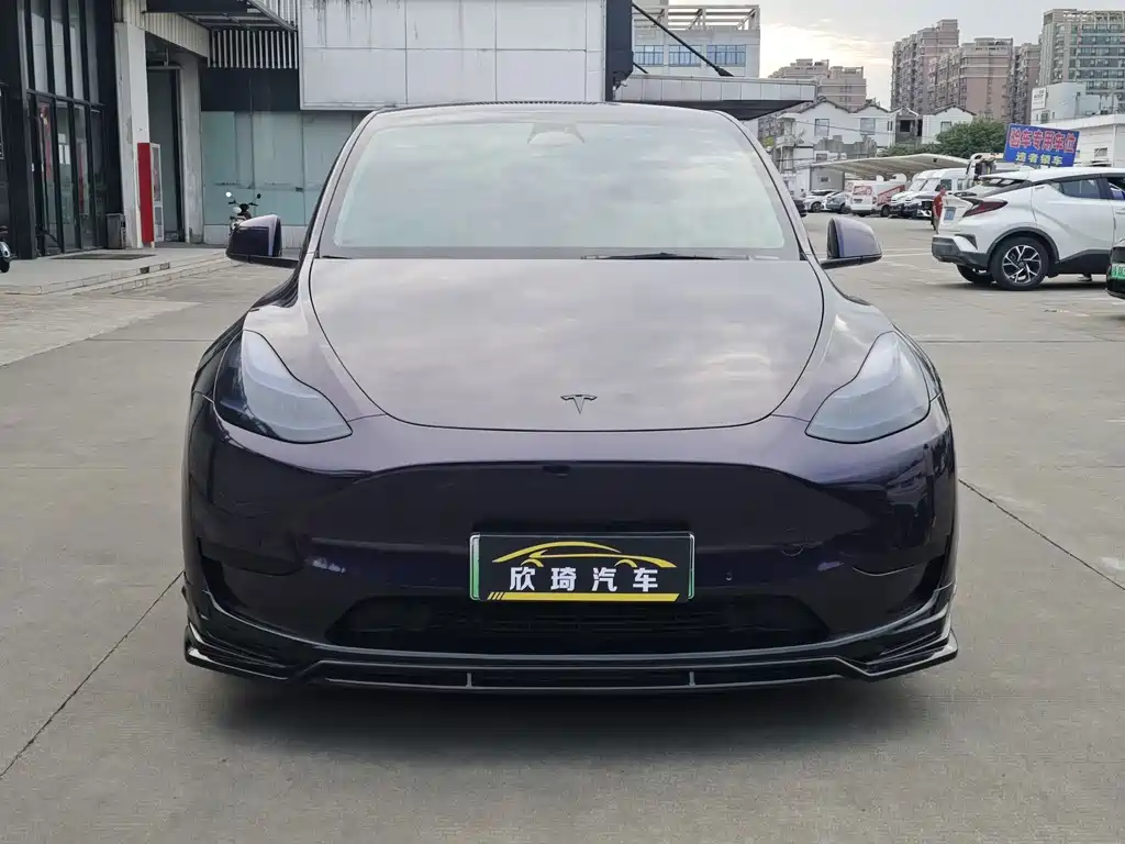 Tesla Model Y — миниатюра 2