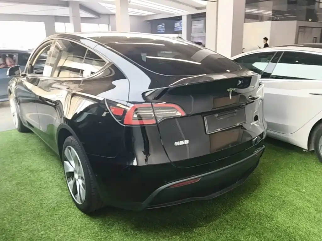 Tesla Model Y — миниатюра 5
