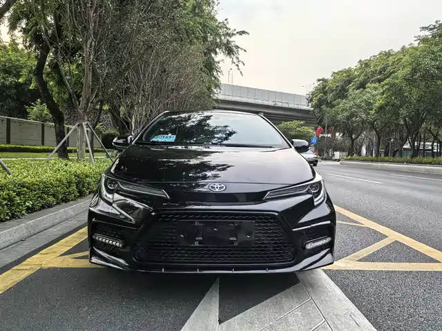 TOYOTA LEI LING 2021