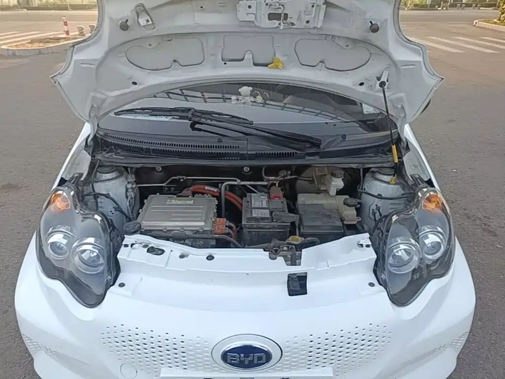 BYD e1 — миниатюра 20