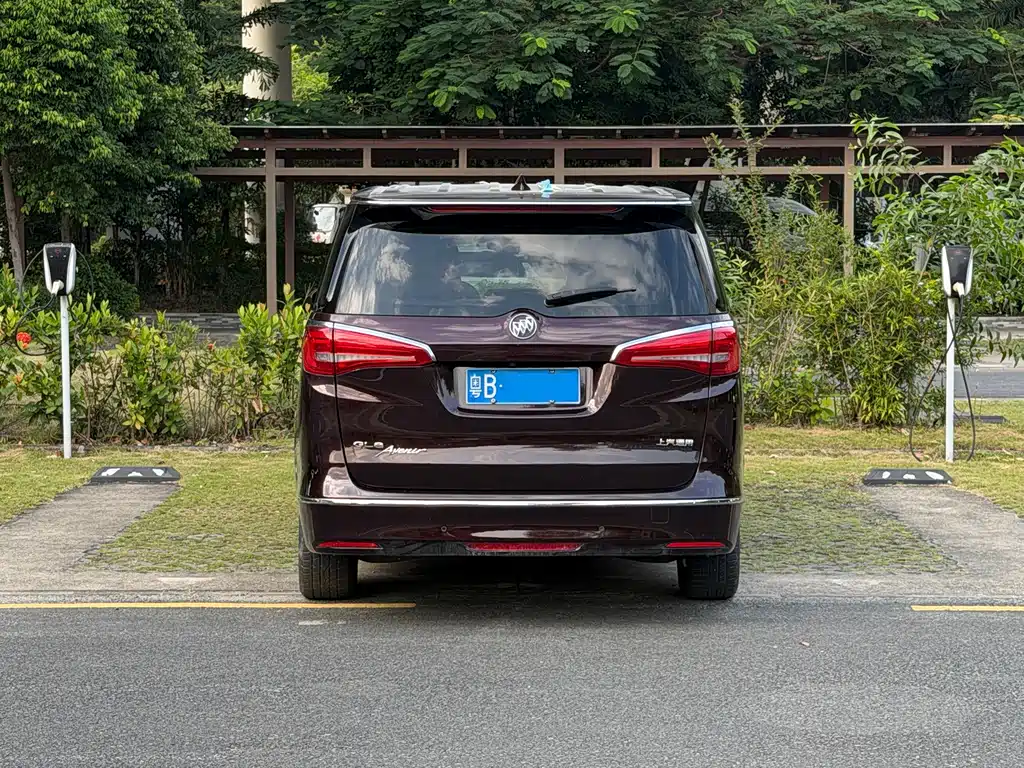 Buick GL8 — миниатюра 8