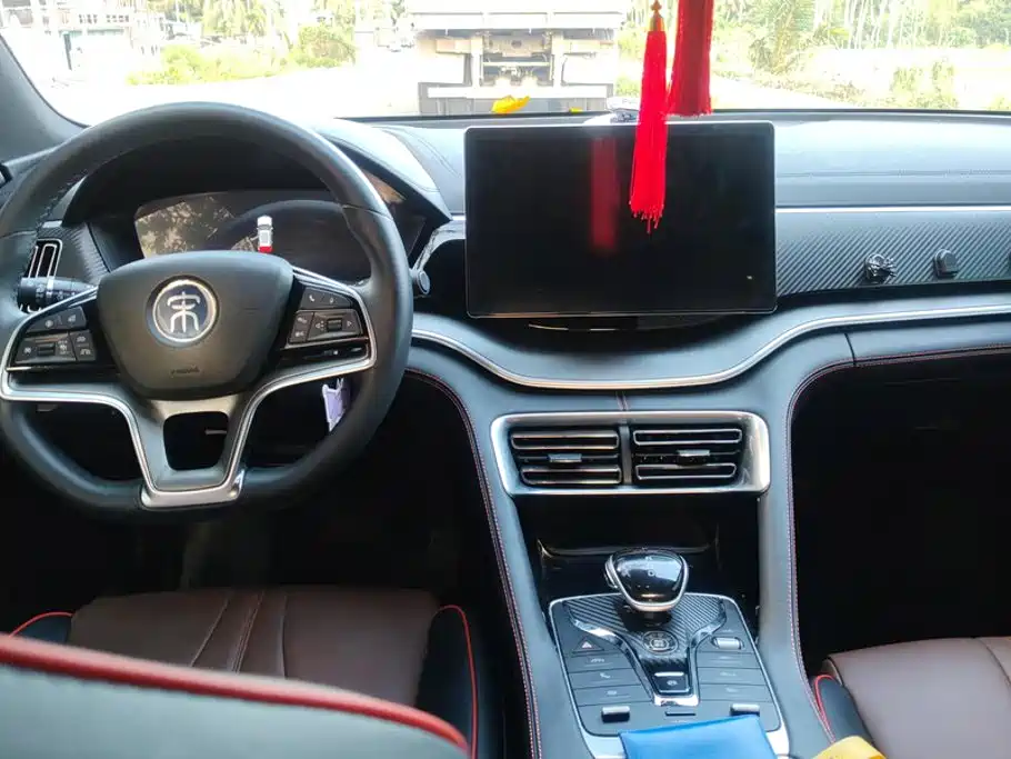 BYD PLUS — миниатюра 12