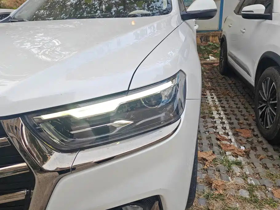 Haval H6 — миниатюра 5