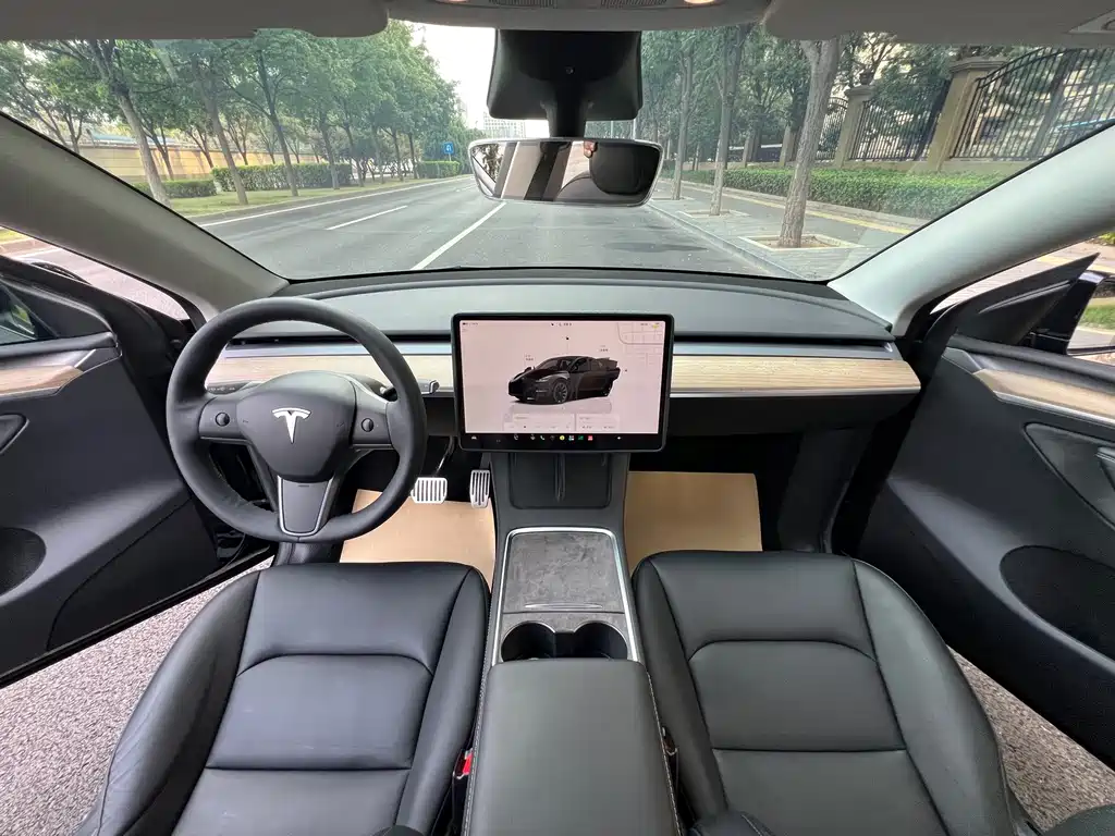 Tesla Model Y — миниатюра 10