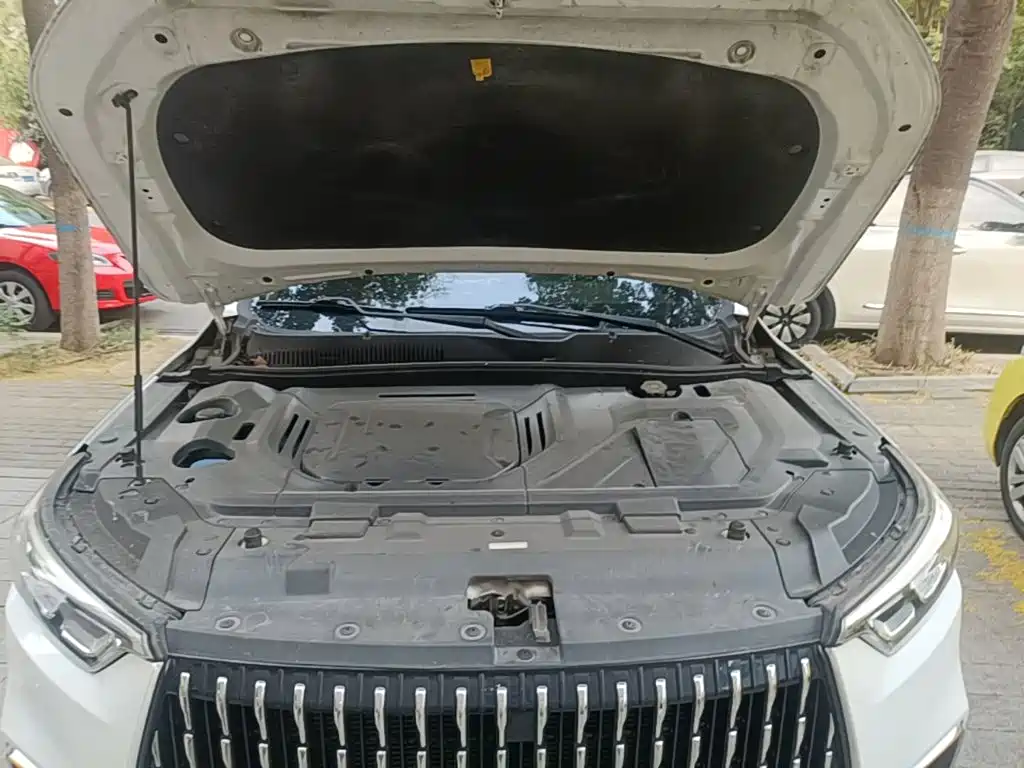 Leopaard Mattu — миниатюра 20