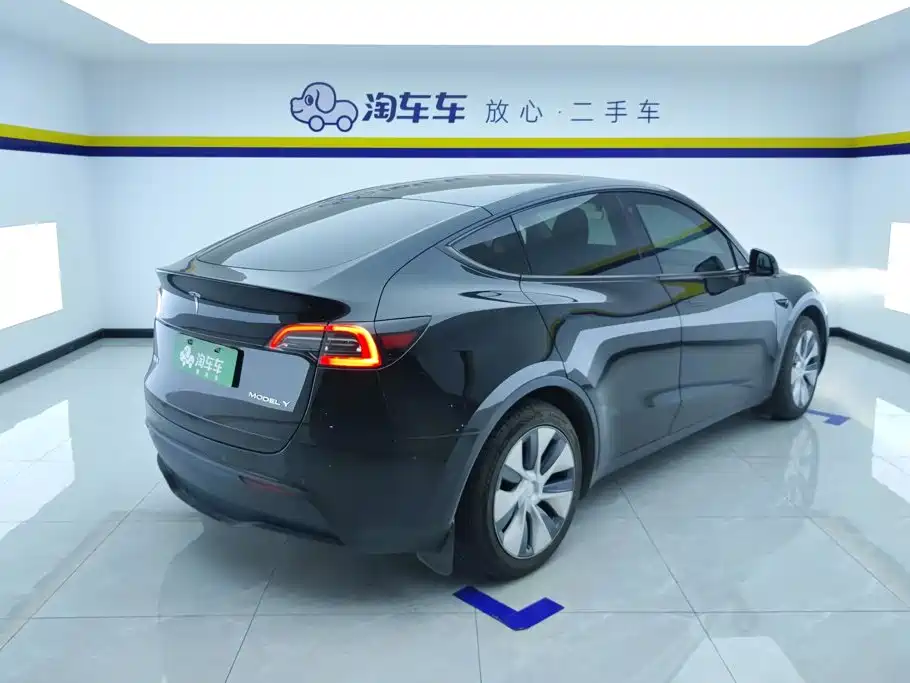 Tesla Model Y — миниатюра 3