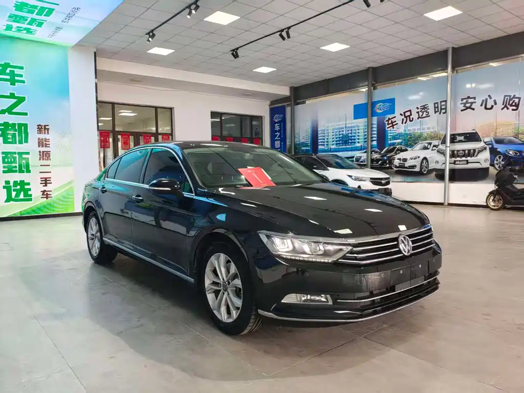 Volkswagen Magotan 2019 330TSI DSG Luxury VI