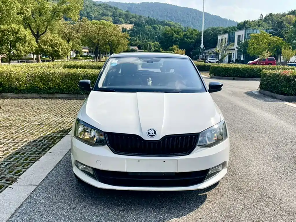 Skoda Fabia — миниатюра 15
