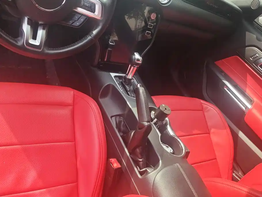Ford Mustang — миниатюра 16