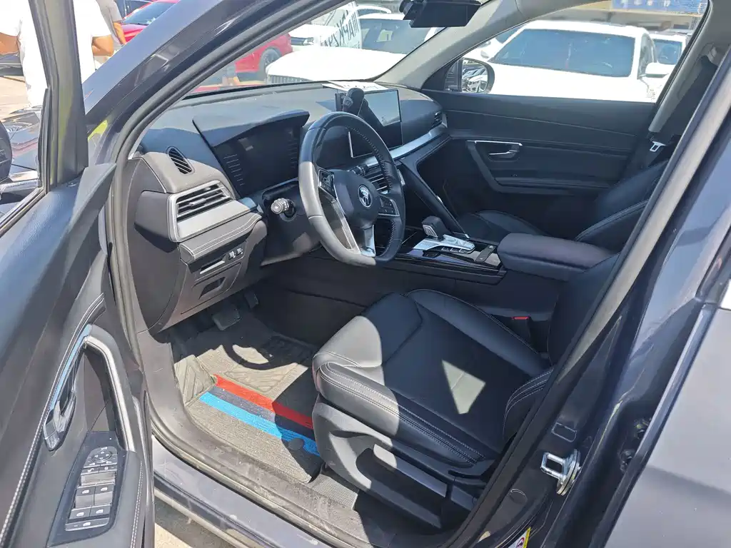BYD Pro — миниатюра 4