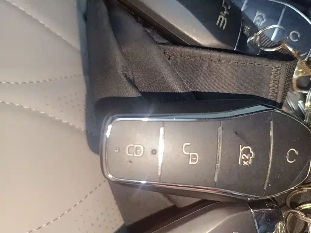 BYD Tang New Energy — миниатюра 9