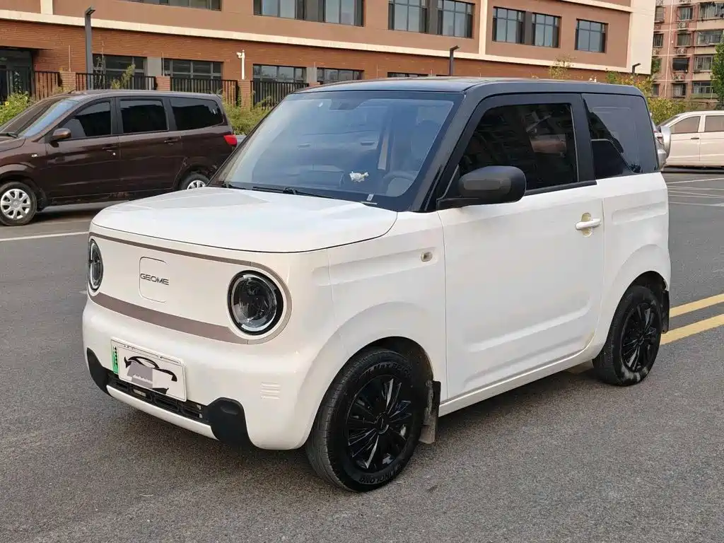 Galaxy Panda