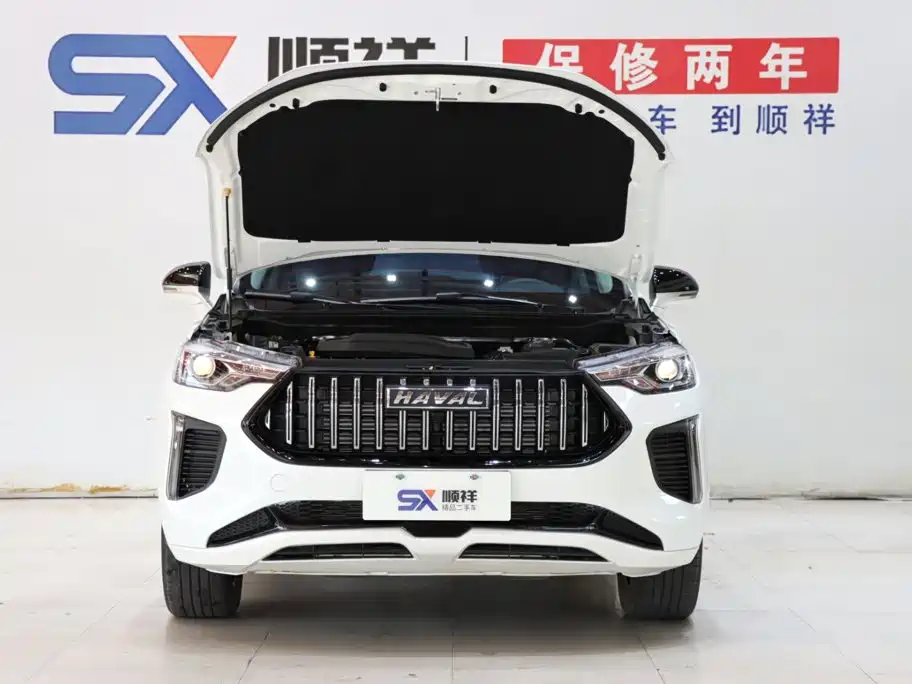 Haval Chitu — миниатюра 18