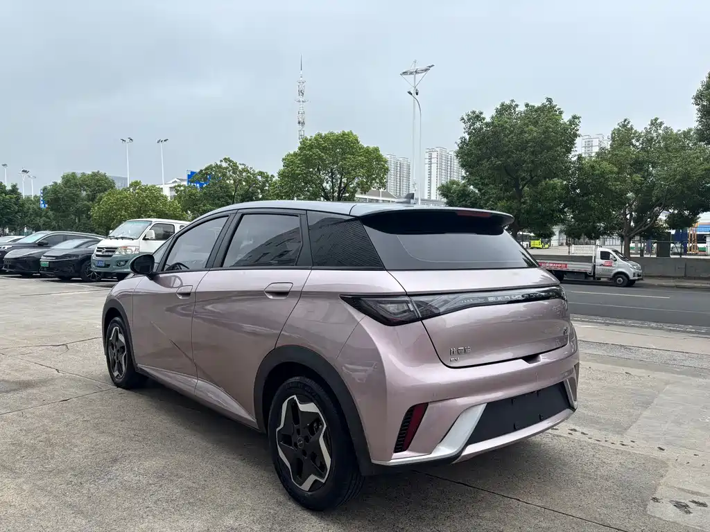 BYD Dolphin — миниатюра 7