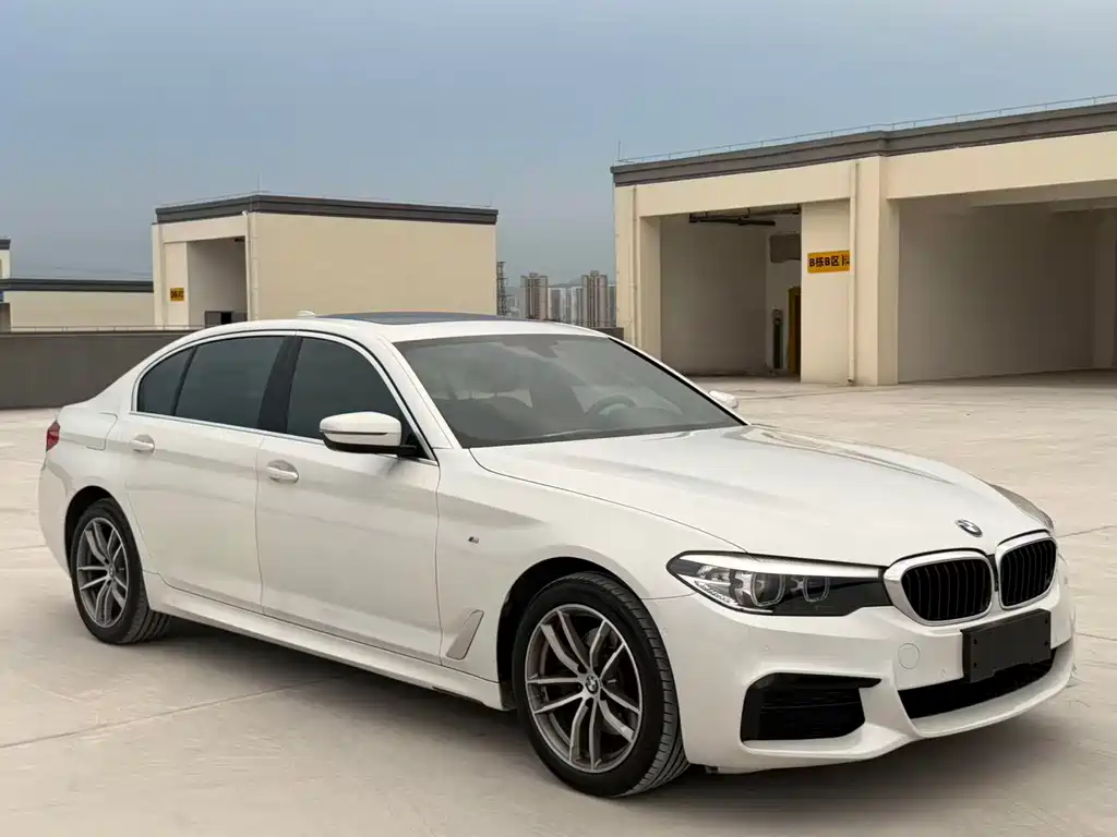 BMW 5 Series — миниатюра 3