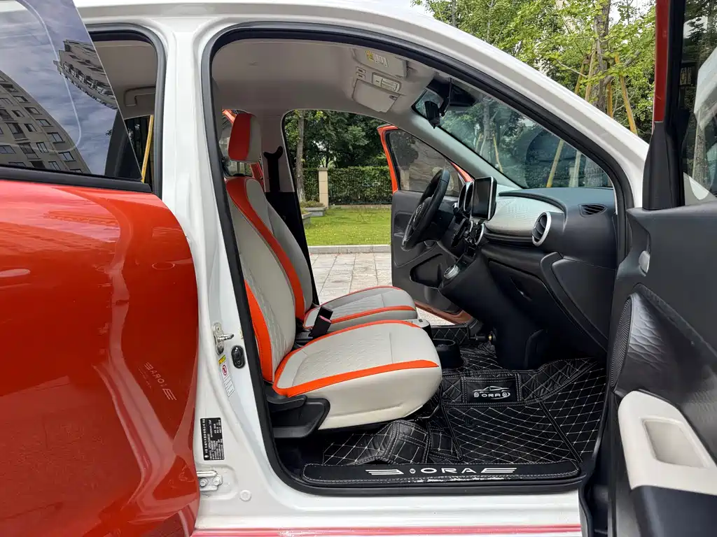 Ora Ora Black Cat - фото 11