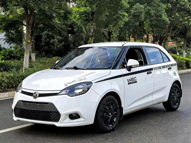 2013 MG 3