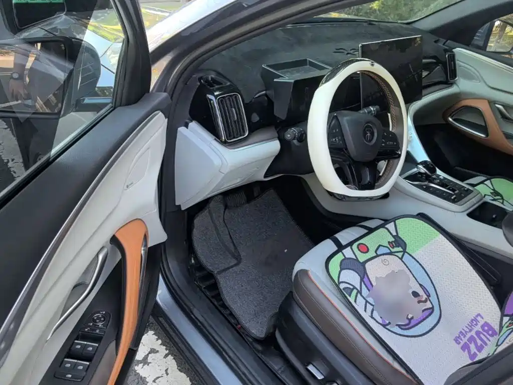 BYD Pro New Energy — миниатюра 16
