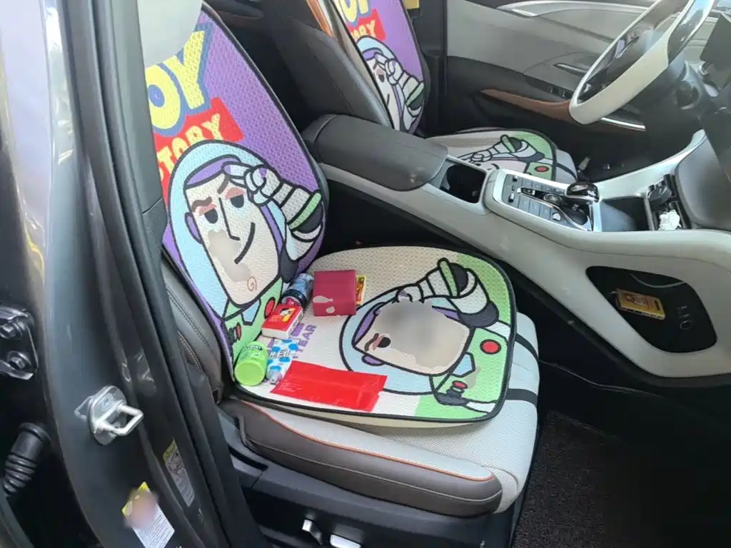 BYD Pro New Energy — миниатюра 25