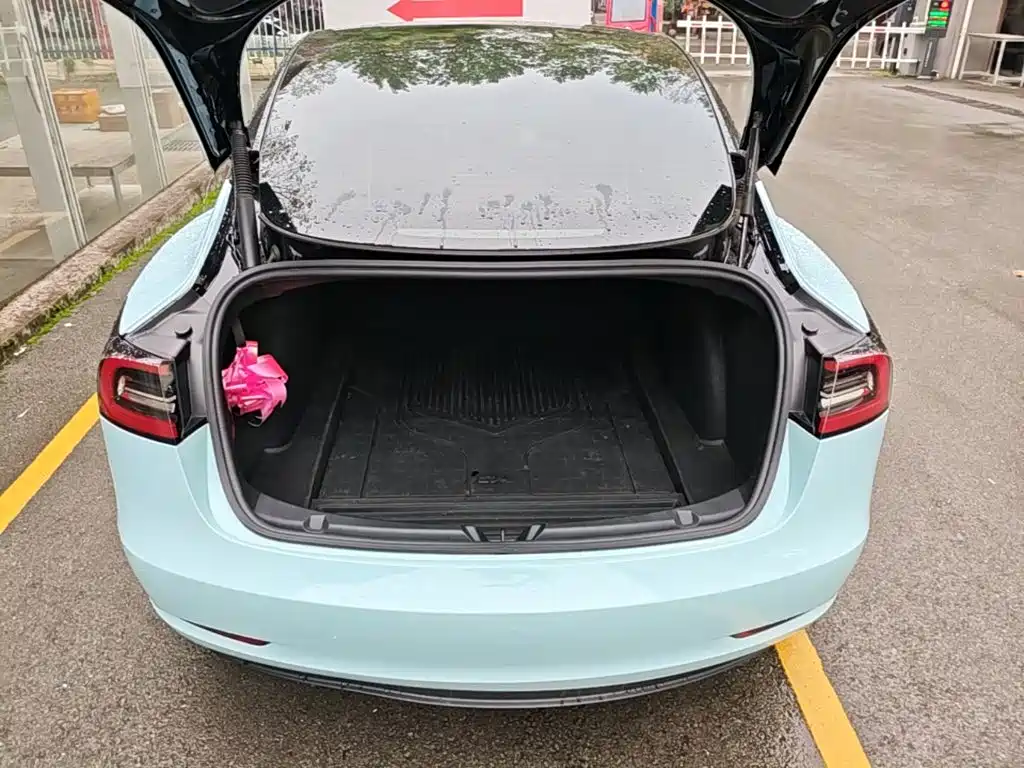 Tesla Model 3 — миниатюра 19