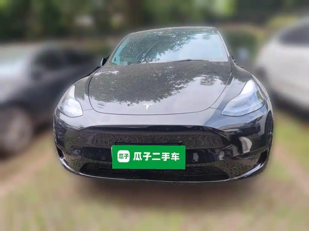 Tesla Model Y — миниатюра 2