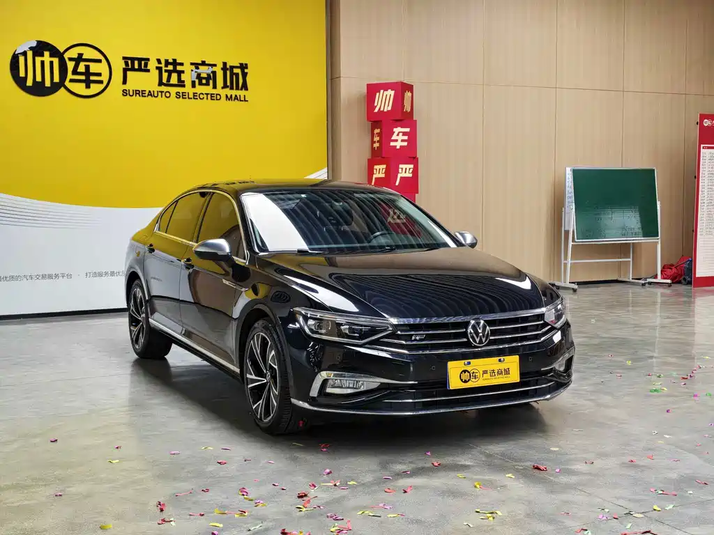 Volkswagen Magotan — миниатюра 2