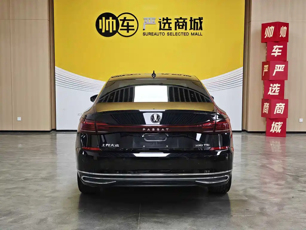 Volkswagen Passat — миниатюра 6