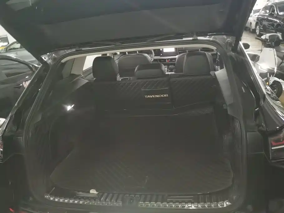 Volkswagen Tavendor — миниатюра 4