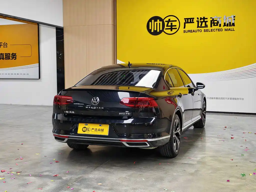 Volkswagen Magotan — миниатюра 5