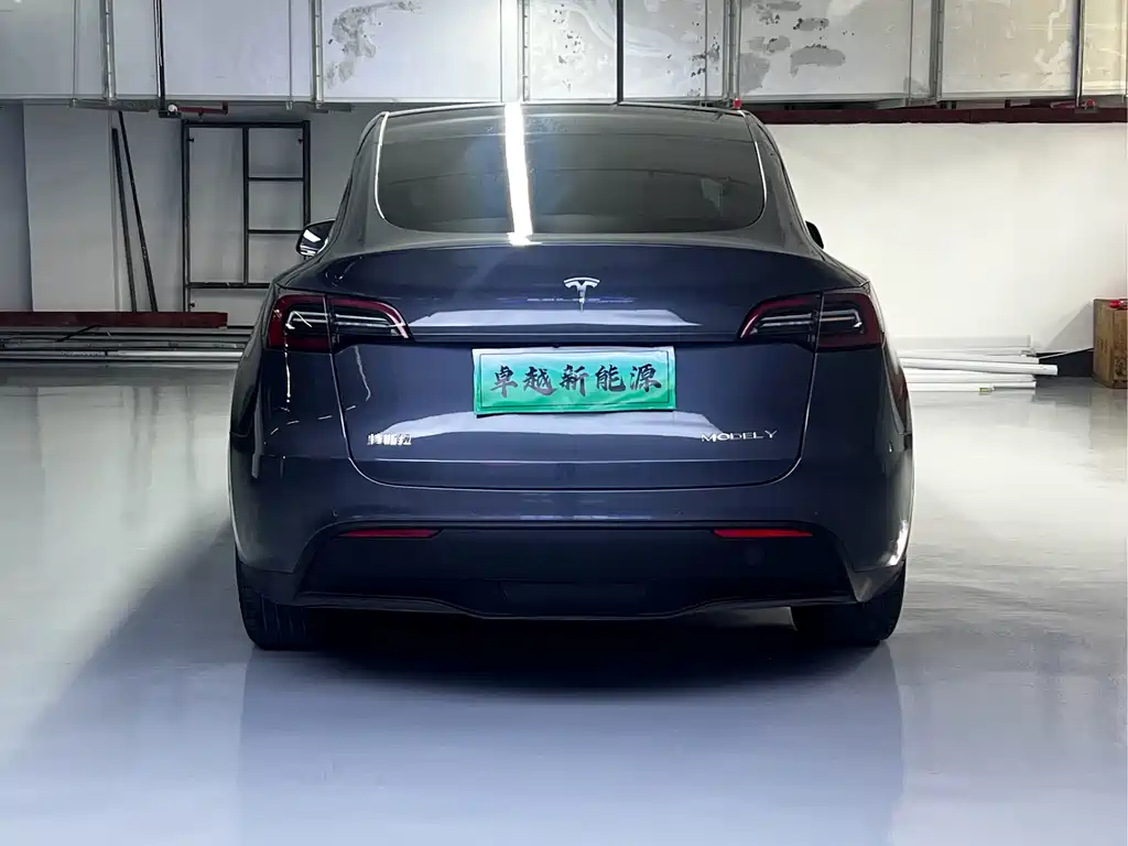 Tesla Model Y — миниатюра 11