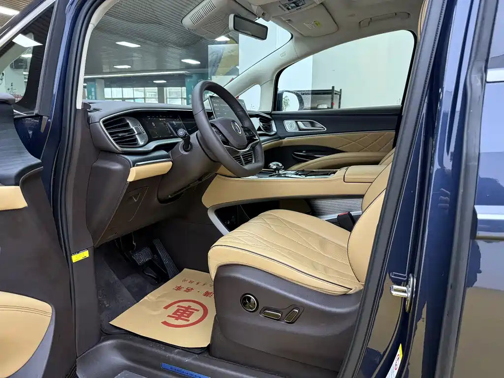 Denza Denza D9 — миниатюра 4