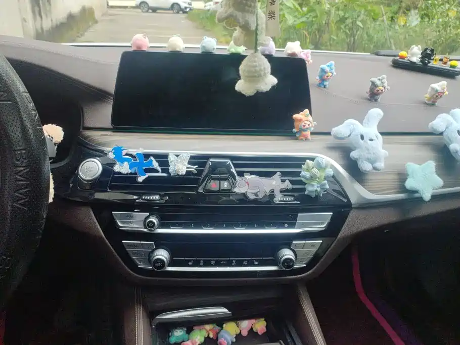 BMW 5 Series New Energy — миниатюра 13