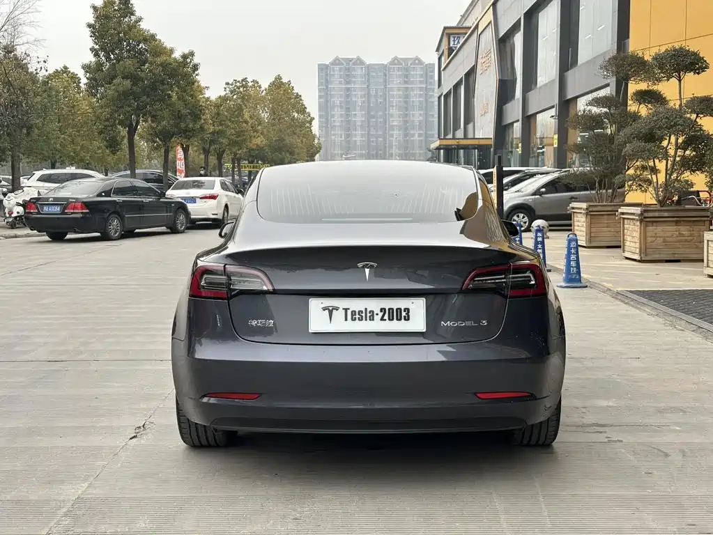 Tesla Model 3 — миниатюра 5