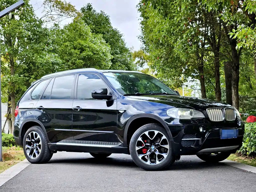 BMW X5 (Import) — миниатюра 3