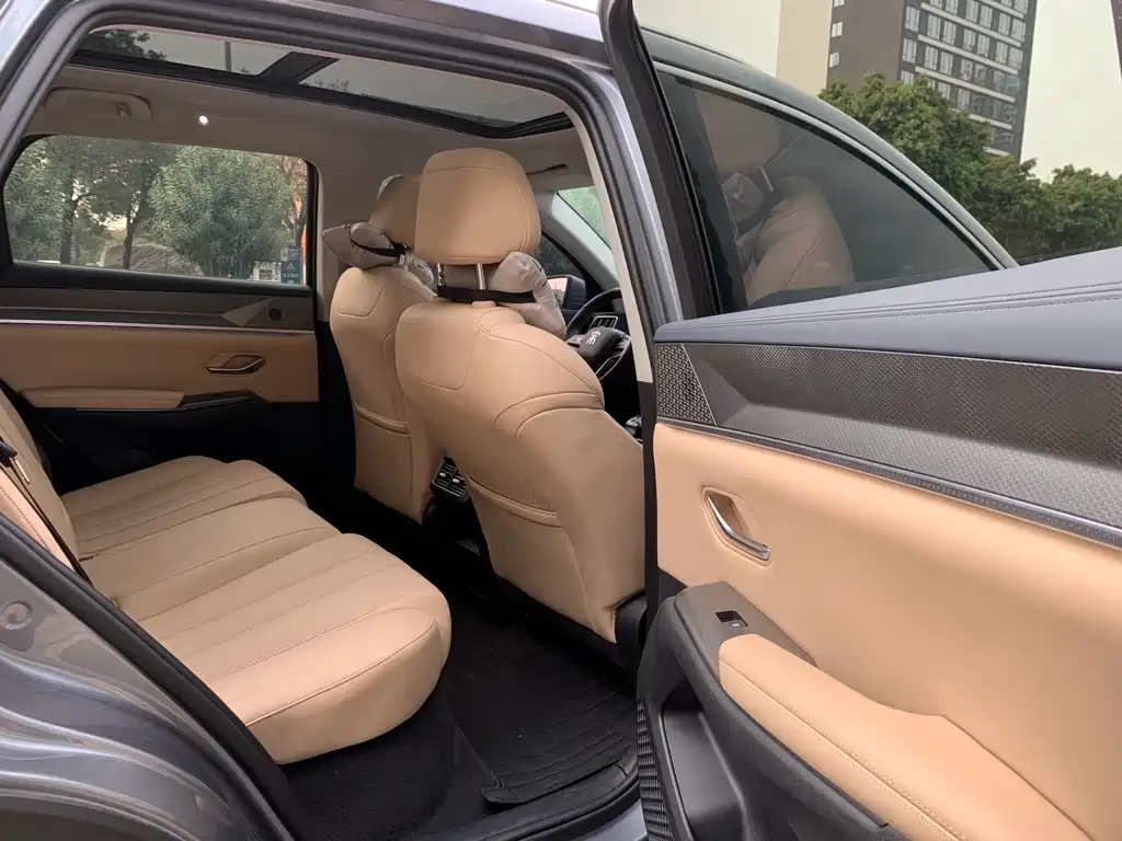 BYD SONGJIANG NEW ENERGY