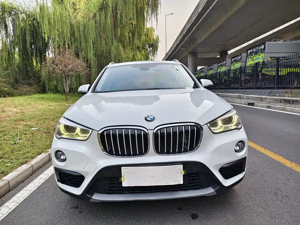 BMW X1 — миниатюра 2