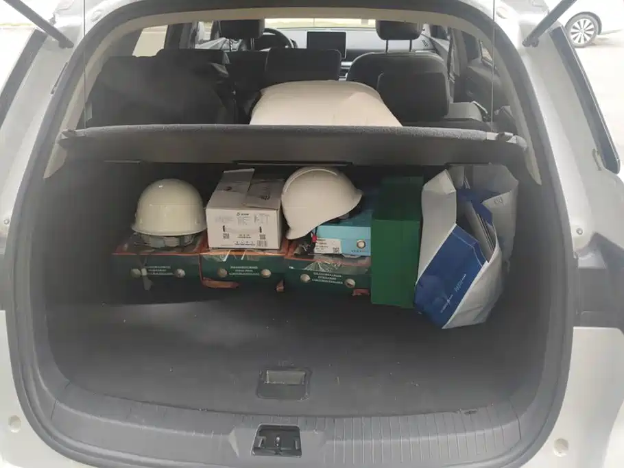 BYD Pro — миниатюра 4