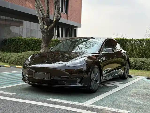 TESLA MODEL 3 2020