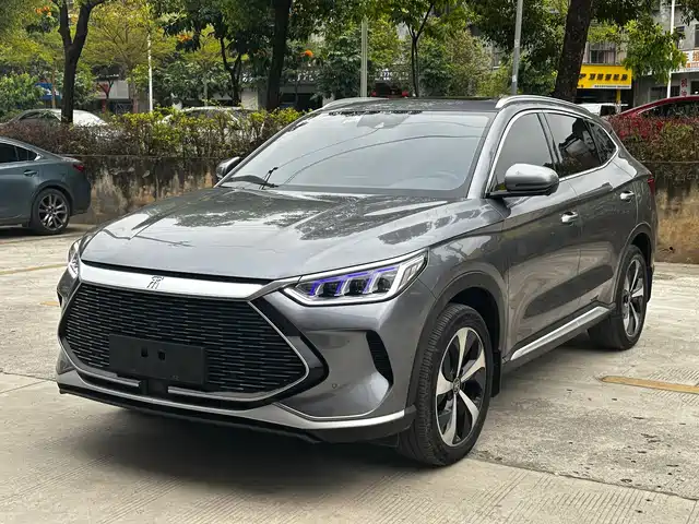 BYD SONGJIANG NEW ENERGY 2022