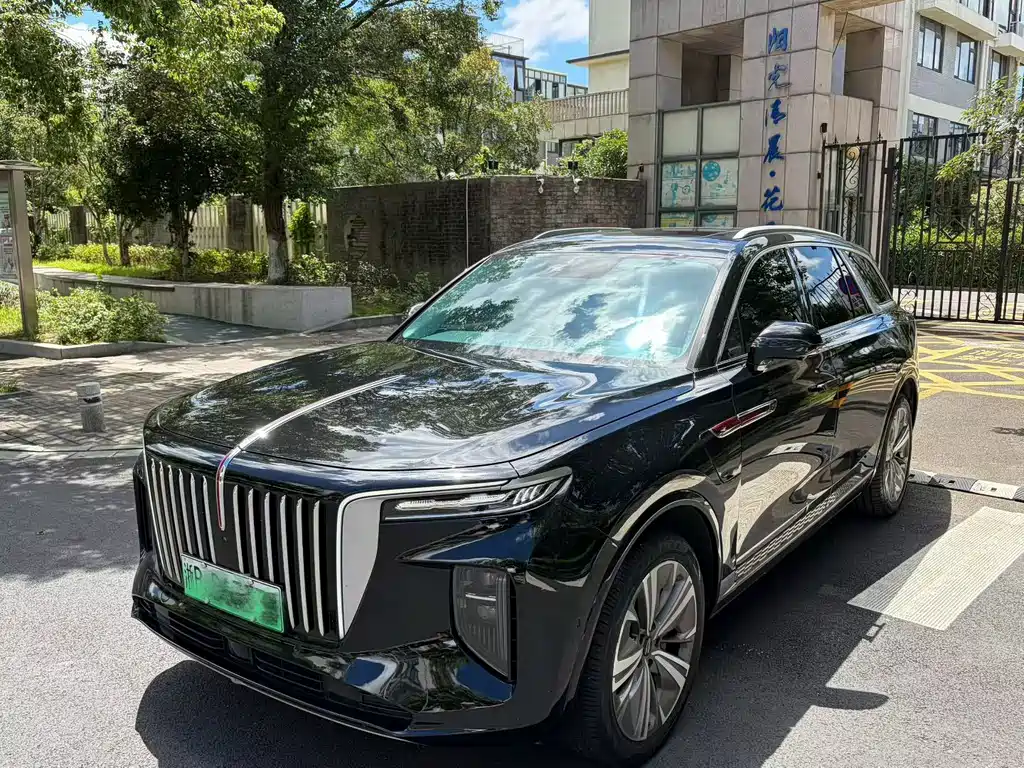 Hongqi Hongqi E-HS9