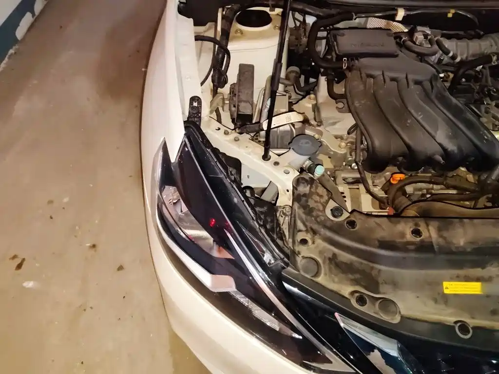 Nissan Sylphy — миниатюра 19