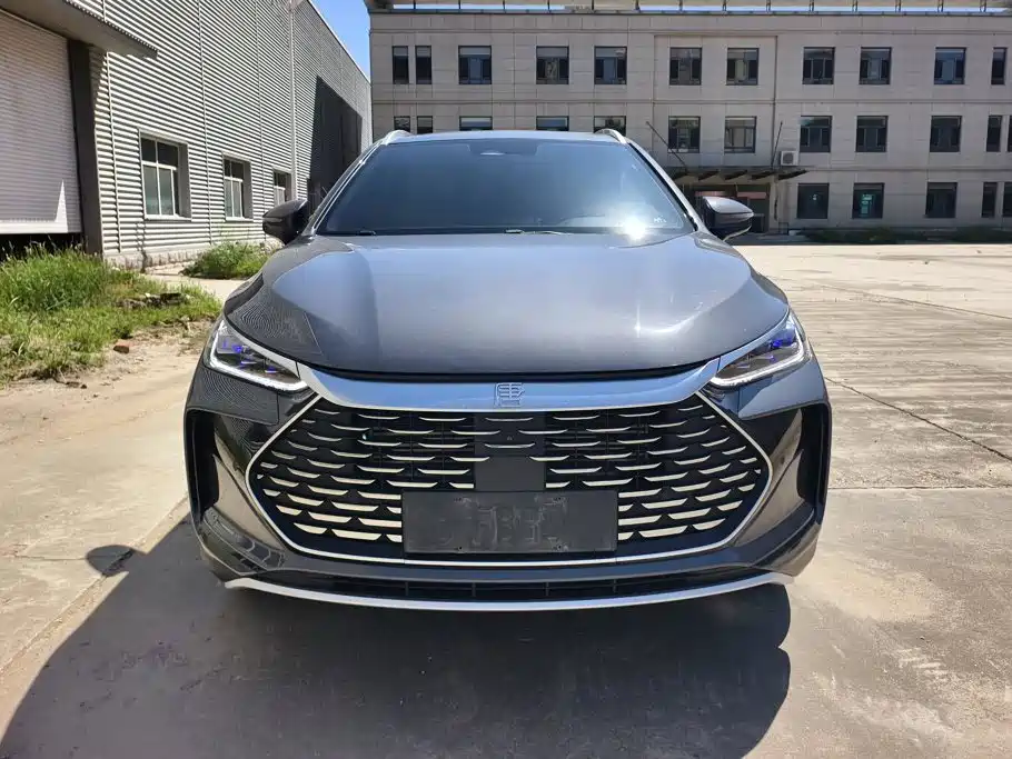 BYD Tang New Energy — миниатюра 2