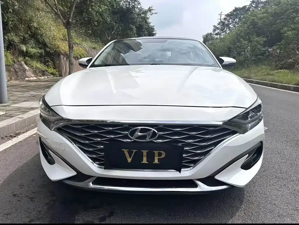 Hyundai Fista — миниатюра 2