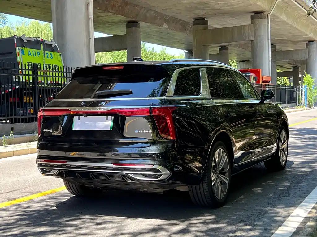 Hongqi Hongqi E-HS9 — миниатюра 12