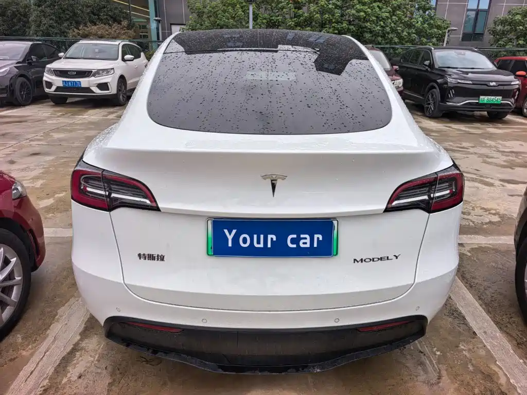 Tesla Model Y — миниатюра 5